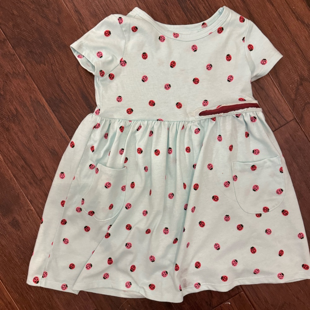 Adaptive Gtube Mint Dress with Ladybug Print